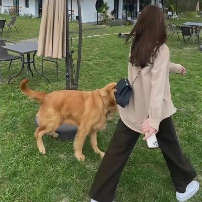 大雄的宇宙开拓史