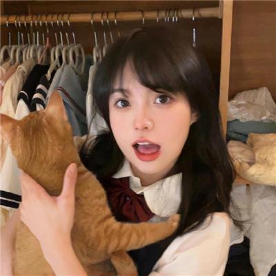 活死喵之夜